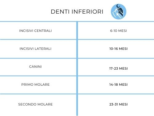 Tabella che descrive la dentizione dei denti inferiori per i bambini